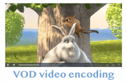 VOD video encoding Project